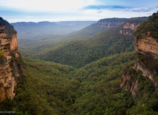 Blue Mountains