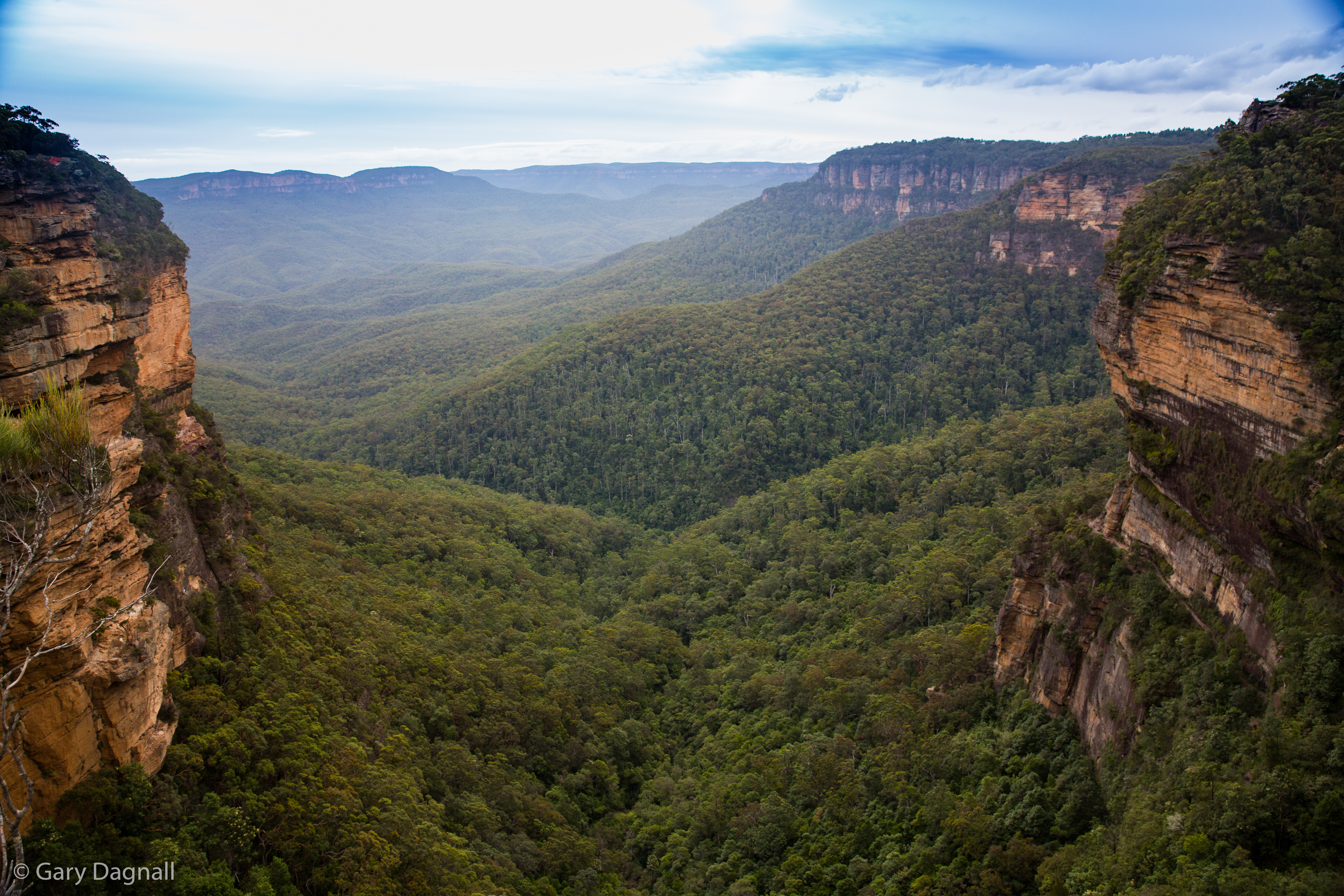 Blue Mountains