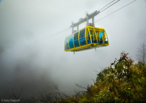 Sky Train