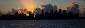 Sydney cityscape at night